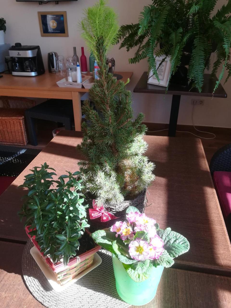 Shubu Zen Vendégház Szilvásvárad Esterno foto
